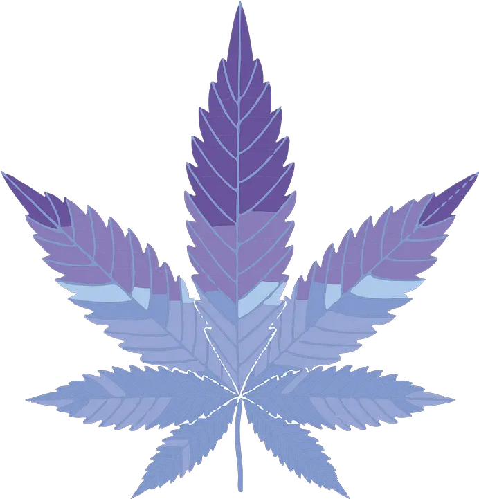  Free Photo Abstract Cannabis Weed Geometric Marijuana Blue Silhouette Marijuana Clipart Png Marijuana Plant Icon