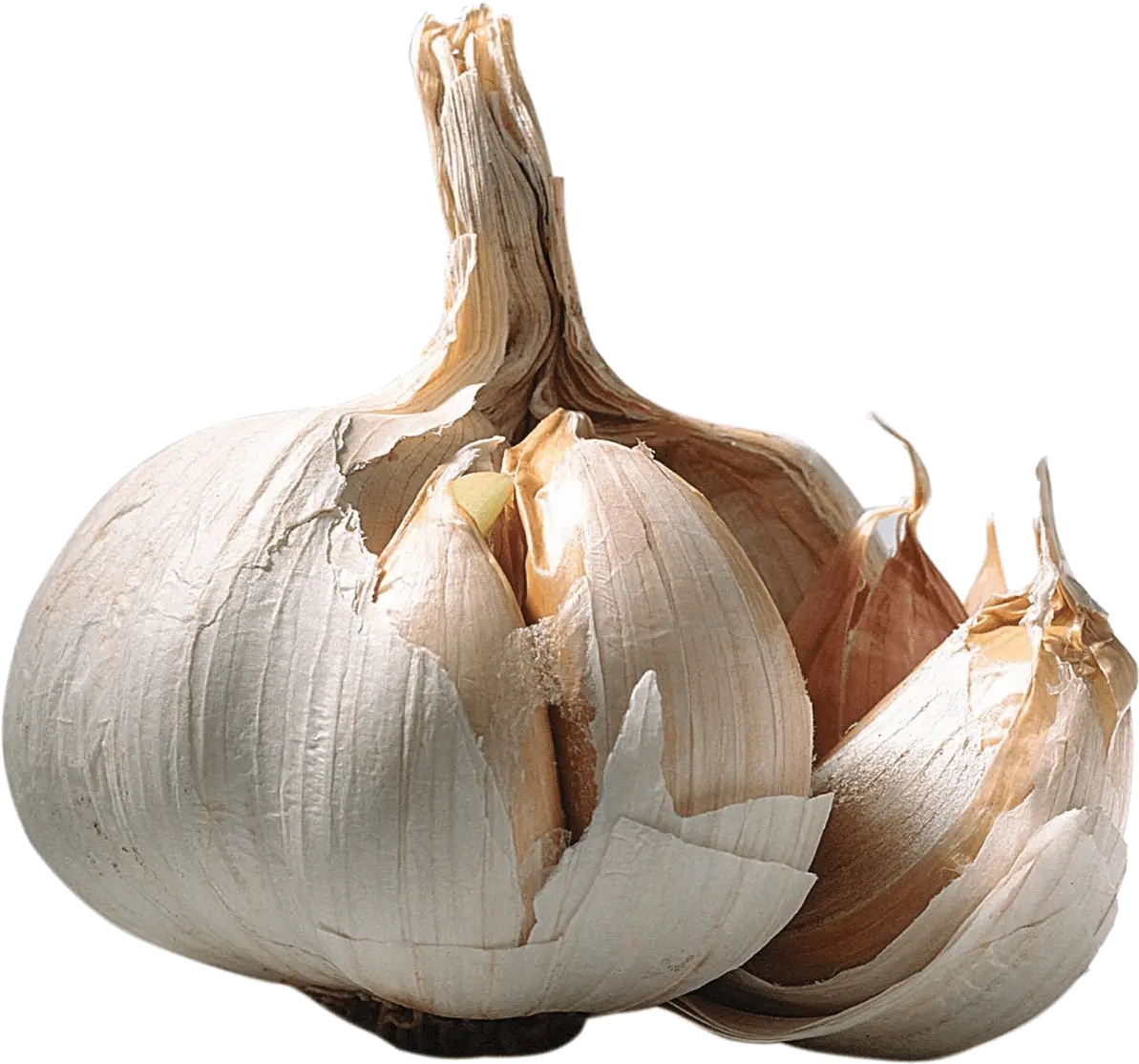  Garlic Opened Transparent Png Garlic With No Background Garlic Transparent Background