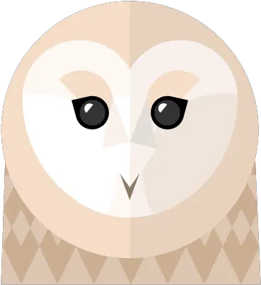  Barn Owl Png Illustration Barn Owl Png