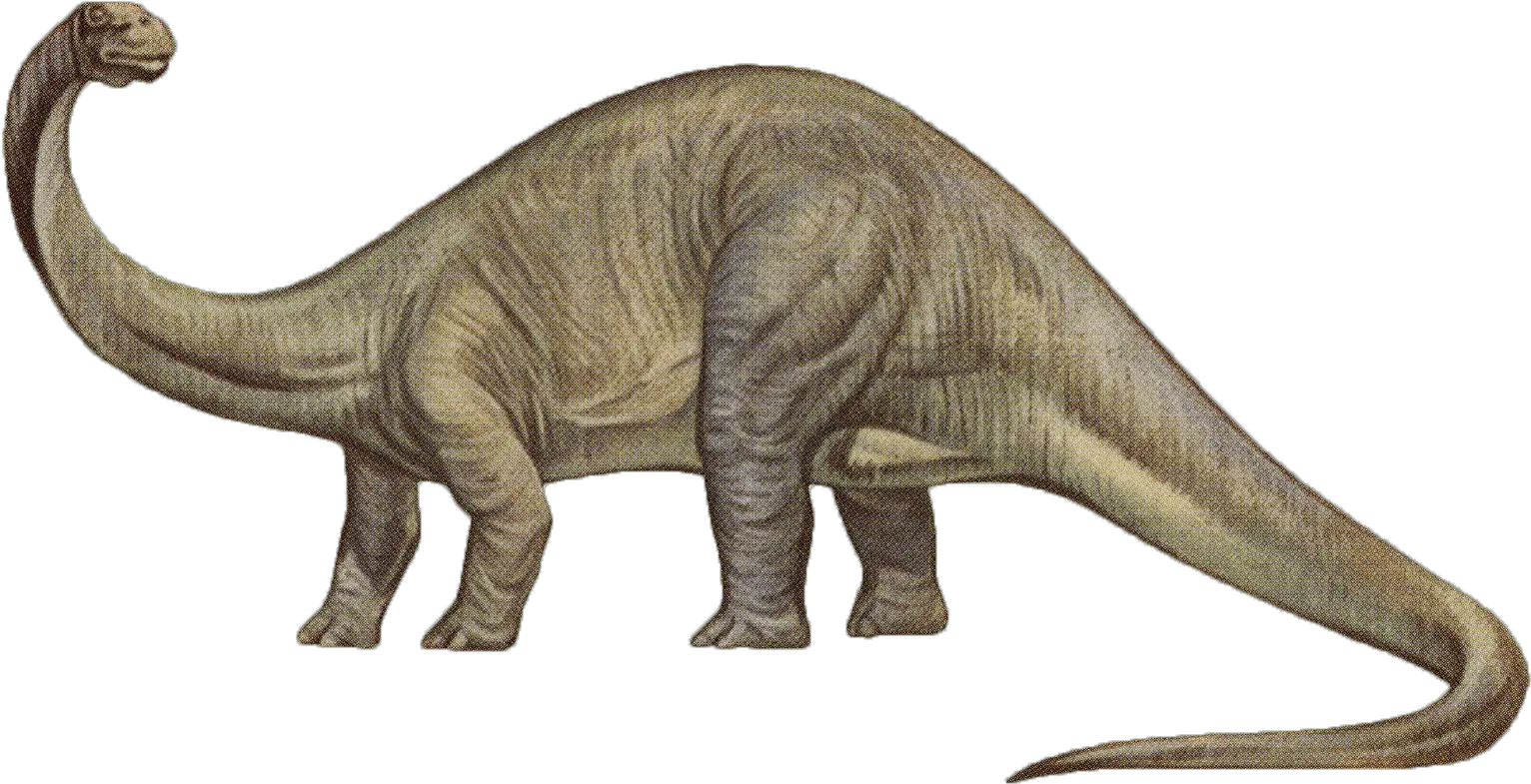  Brontosaurus Png Dinosaur That Doesn T Eat Meat Yee Dinosaur Png