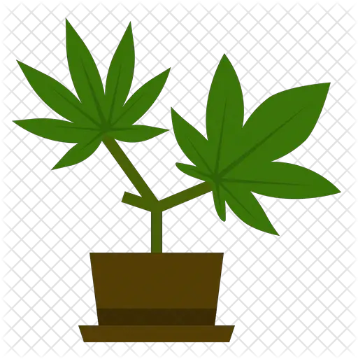  Marijuana Growing Icon Of Flat Style Cannabis Plant Icon Png Marijuana Png