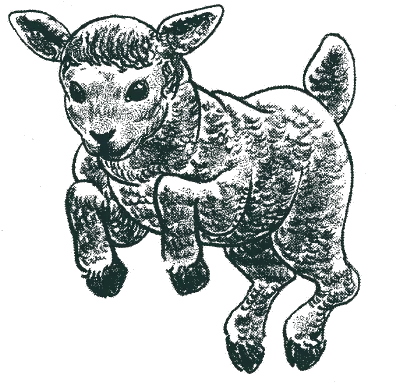  Location Black Lamb Png