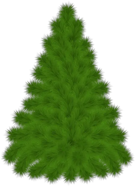  Pine Tree Png Clipart Picture Pine Pine Trees Png