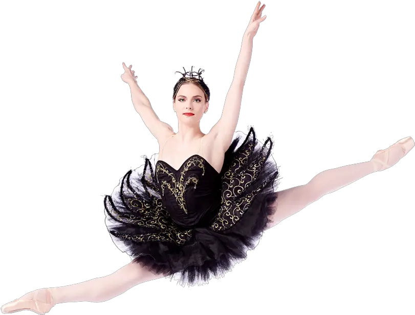  Saint Louis Ballet Swan Lake 2020 Swan Lake Ballet Png Swan Png