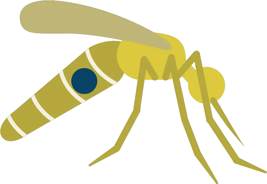  Mosquito Clipart Prevention Disease Portable Network Graphics Png Mosquito Transparent