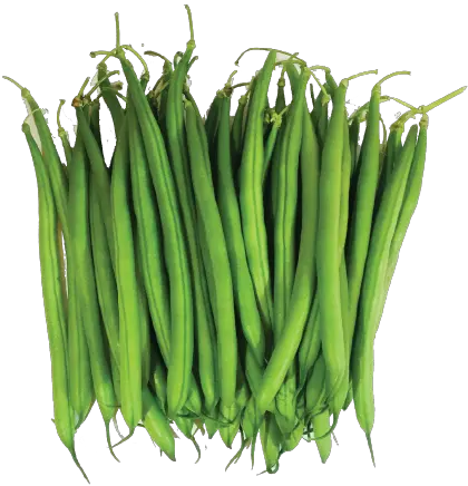  Green Bean Png Transparent Background Green Beans Png Beans Png