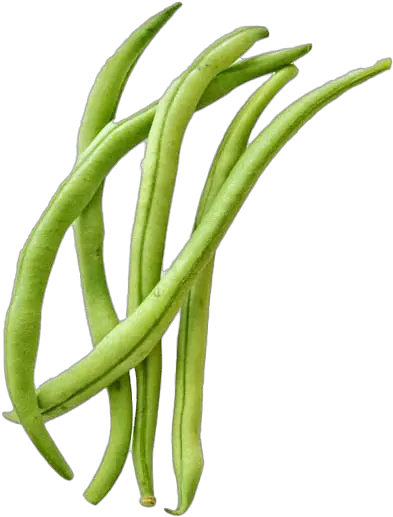  Green Beans Png Free Image Transparent Background Green Beans Png Beans Png