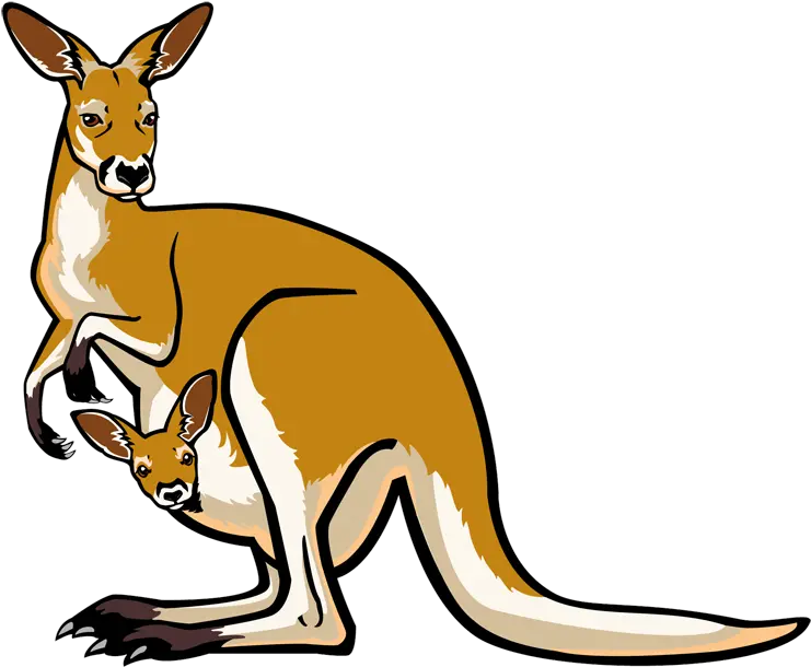  Clip Art Kangaroo Kangaroo And Joey Clipart Png Clip Art Transparent Background