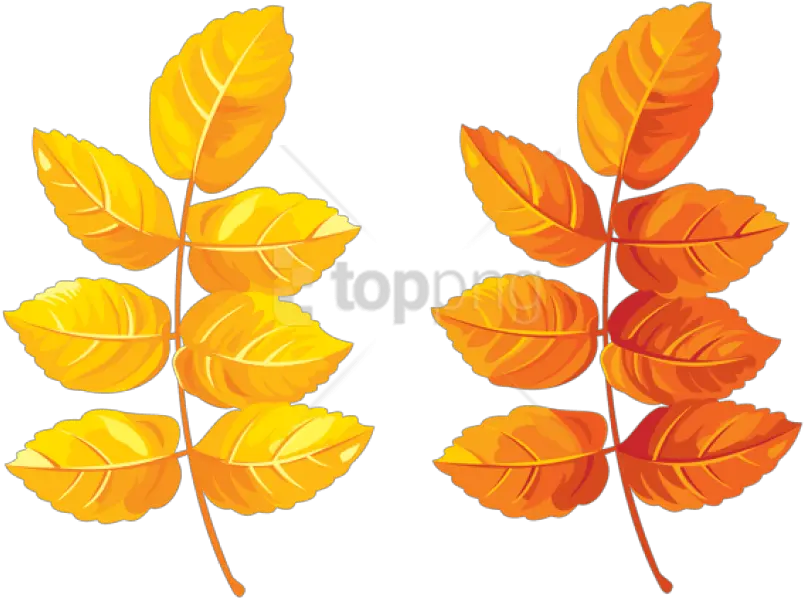  Fall Leaves Clipart Png Photo Yellow Leaves Clipart Transparent Leaves Clipart Png