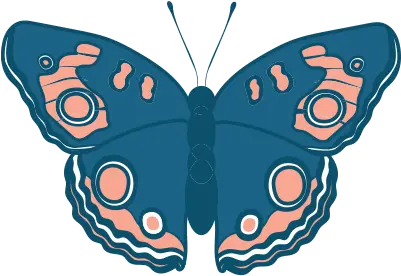  Packages Family First Butterflies Png Colorful Butterfly Icon