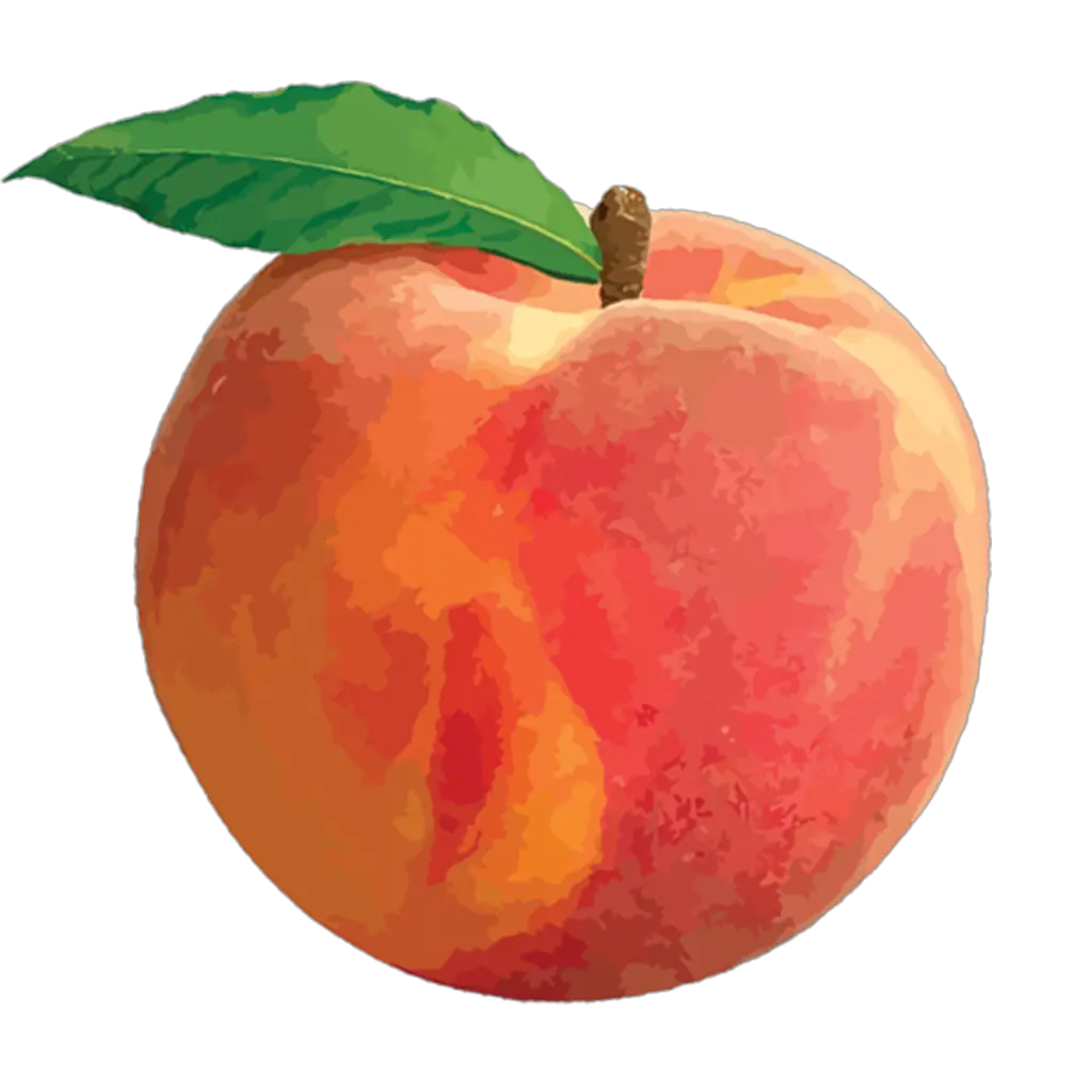  Clip Art Peach Png Peach Transparent Background