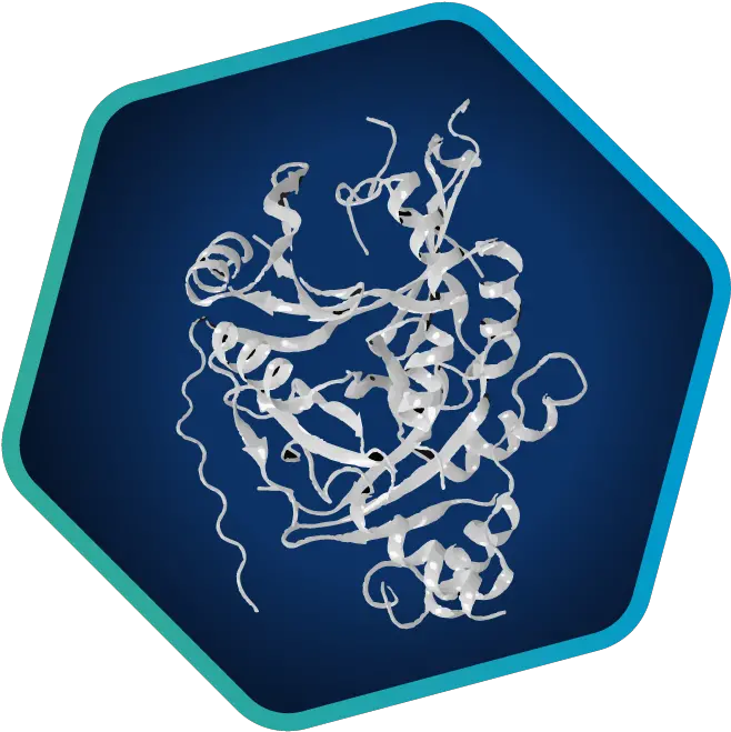  Applications Language Png Drug Development Icon