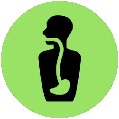  Abundant Performance Rogers Chiropractor Language Png Gi Tract Icon