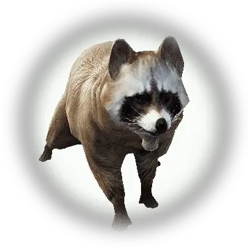  Maroon Raccoon Raccoon Monster Png Racoon Icon