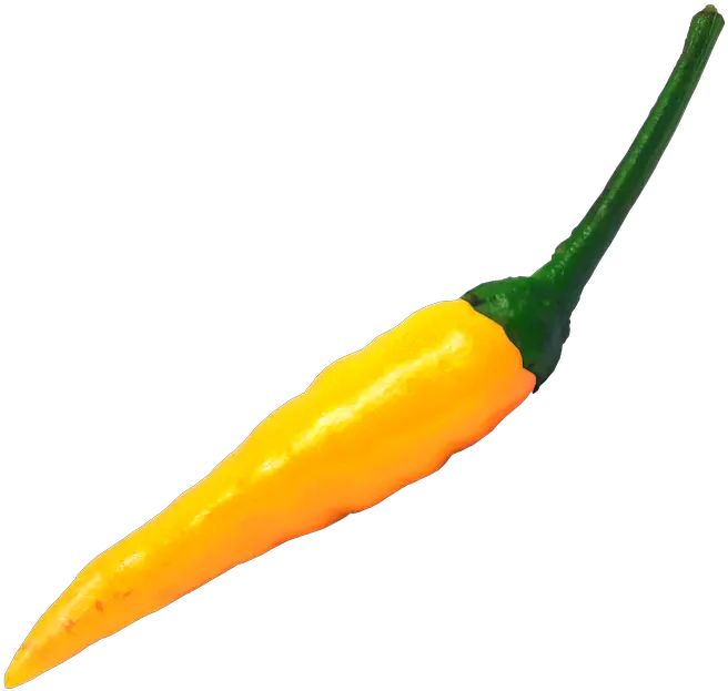  Chili Hot Pepper Free Image On Pixabay Tabasco Pepper Png Chili Png