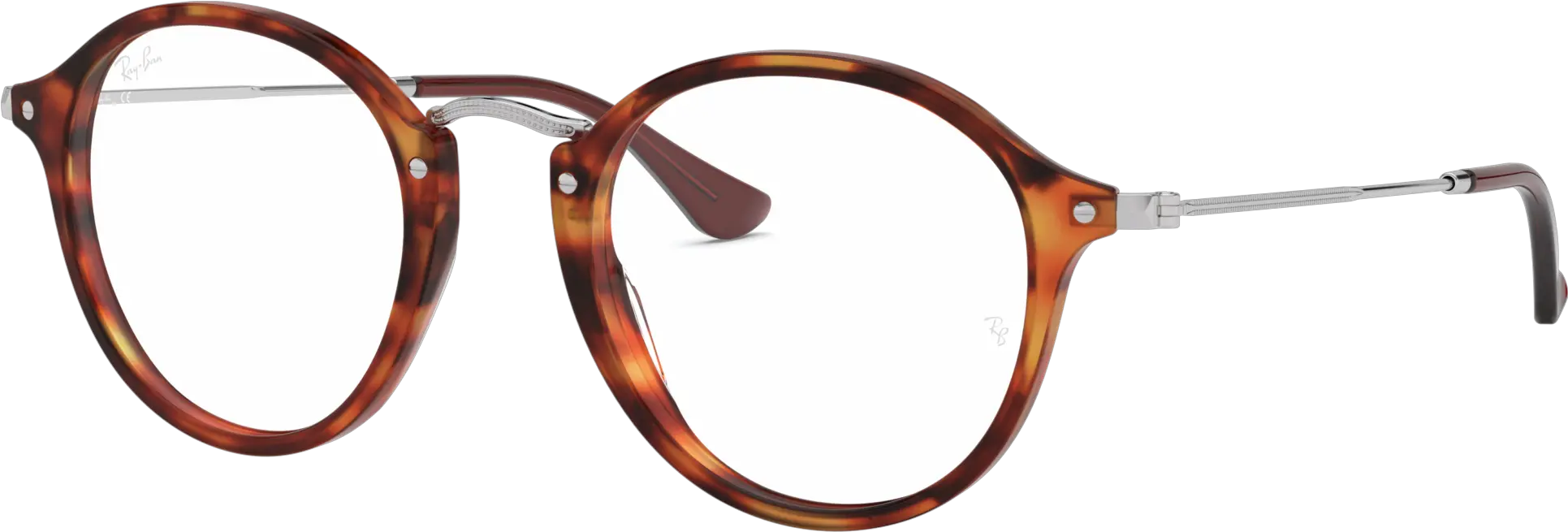  Ray Ray Ban Orx 2447 Black Png Ray Ban Round Icon