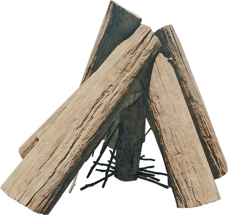  Bonfire Official The Forest Wiki Wood For Campfire Png Bonfire Png