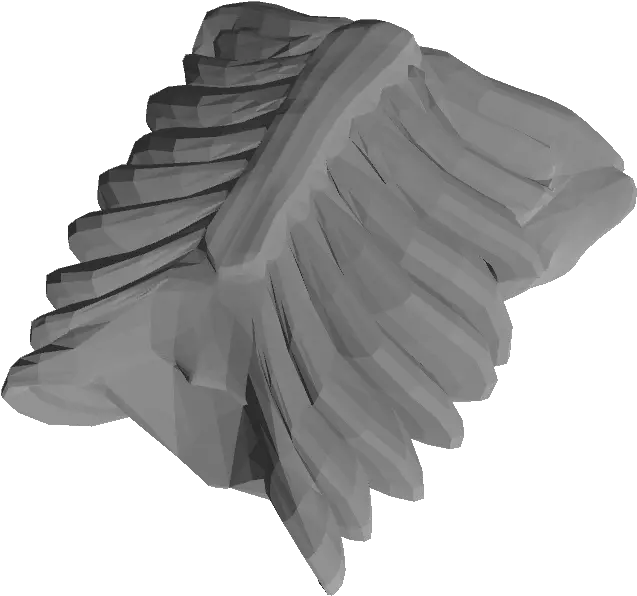  Rib Cage Scatter Wood Png Rib Cage Png