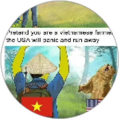  Straw Hat Roblox Vietnam Memes Png Straw Hat Icon