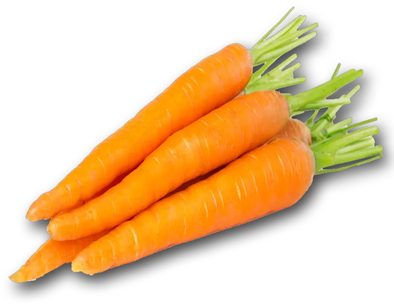  Carrot Png Pic Carrot Png Carrot Transparent Background