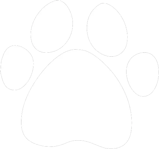  Healthcare Real Estate In Texas Medical Broker Dental Dot Png Paw Print Icon Border
