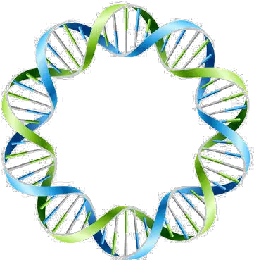  Dna Dna Circles Png Dna Colorful Icon