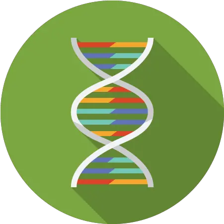  Getting Started A Template Guide Vertical Png Dna Colorful Icon