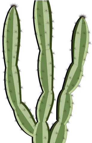  Plants Clipart Cacti Mandacaru Gif Png Cactus Transparent