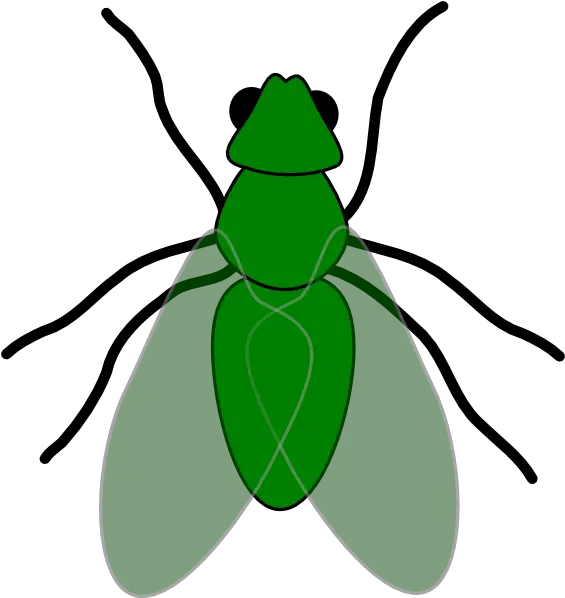  Fly Insect Clipart Hd Png Download Fly Clip Art Fly Clipart Png