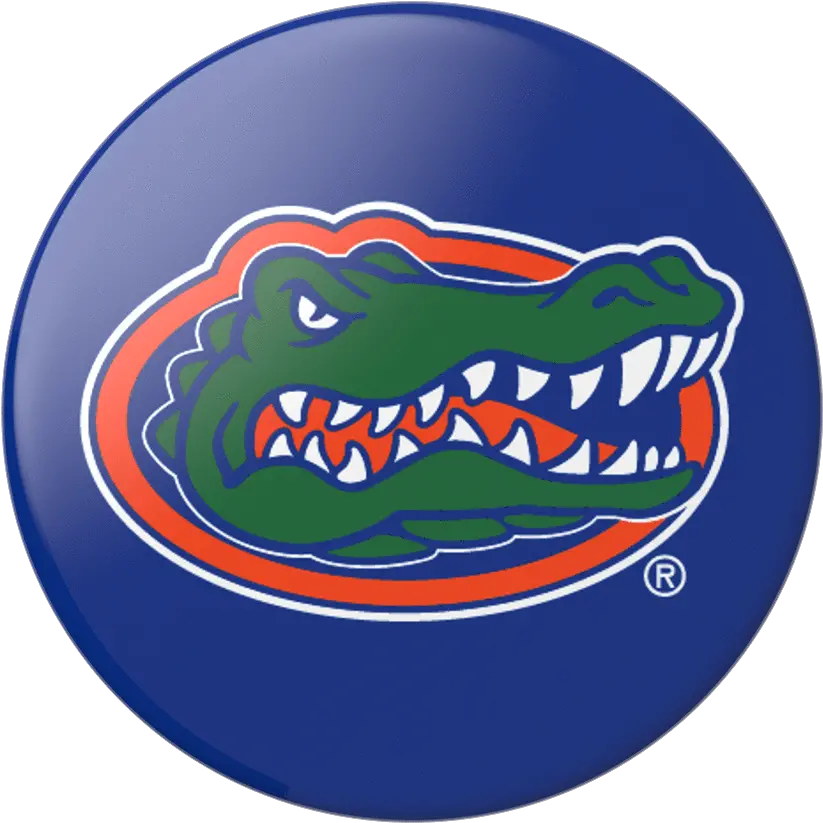  Florida Gators Florida Gators Basketball Png Florida Gators Png