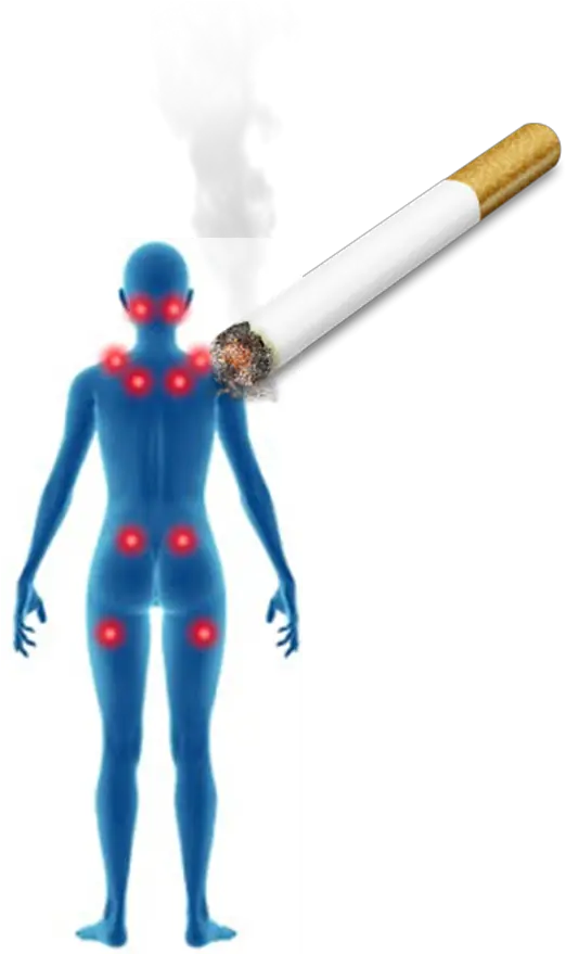  Hd Cigarette Png Transparent Background Fibromyalgia Trigger Points Diagram Cigarette Transparent Background