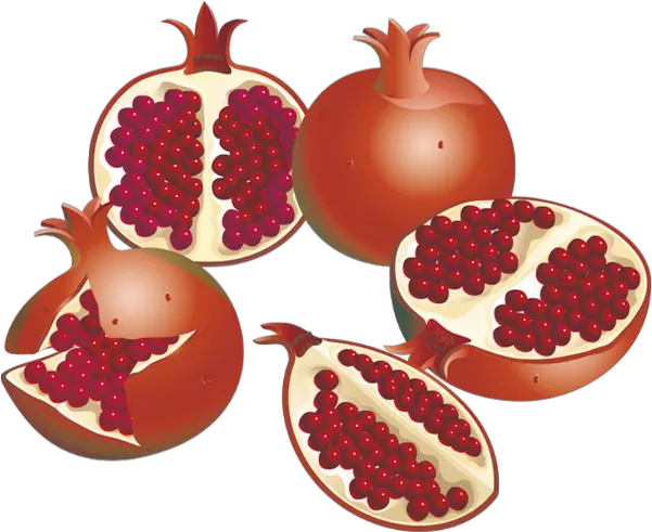  Tube Fruit Grenade Png Melograno Pomegranate Pomegranate Pomegranate Png