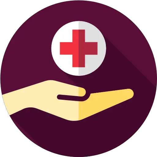  Healthcare Icono De Salud Png Health Icon Png