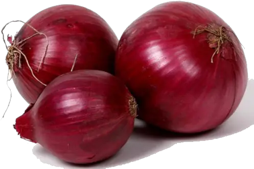  Red Onion Best Onion In India Png Onion Transparent