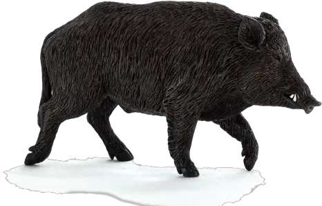  Boar Png Wild Boar Png Pig Transparent