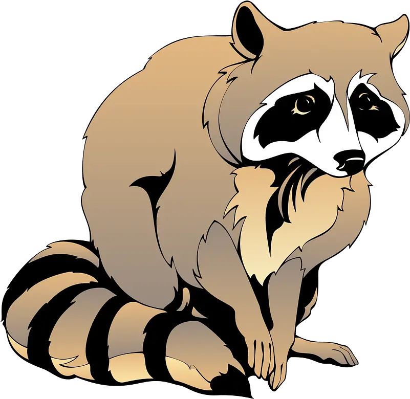  Clipart Coloring Book Of A Raccoon Png Raccoon Transparent