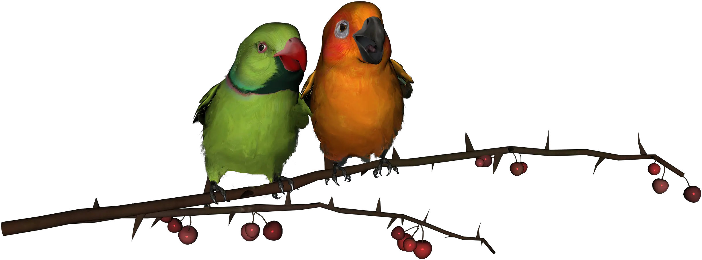  Lovebirds Png Transparent Free Images Only Love Birds Png Hd Branch Png