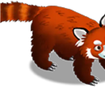  Red Panda Zoocraft Wiki Fandom Zoo Craft Red Panda Png Red Panda Transparent