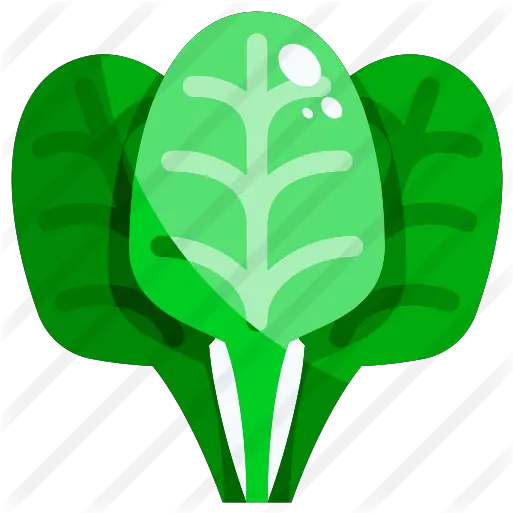  Spinach Spinach Icon Png Spinach Png