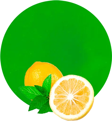  Lemon Mint Concentrate Lemon Pudina Png Lemon Png