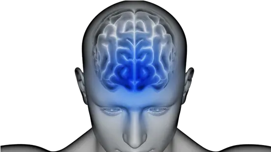  Brain Health Assessment And Plan Illustration Png Brain Transparent Background