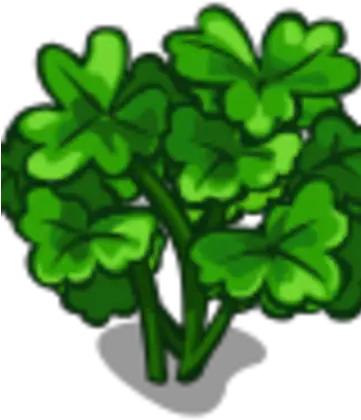  Cilantro Clip Art Png Cilantro Png