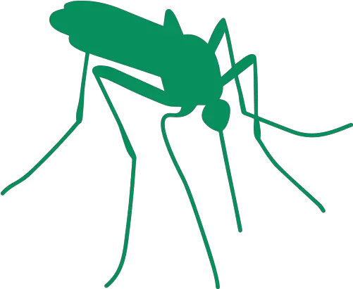  Outdoor Insects Mosquito Warning Sign Png Mosquito Png