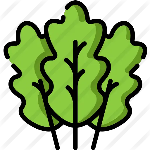  Kale Clip Art Png Kale Png