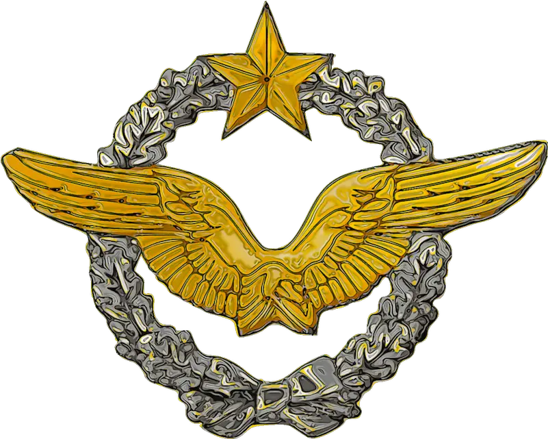  French Military Pilot Wings Png Pilot Pilot Wings Png