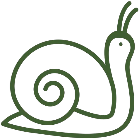  Transparent Png Svg Vector File Snail Icon Png Snail Png