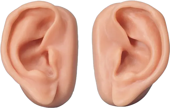  Ear High Quality Png Transparent Background Ears Png Ears Png