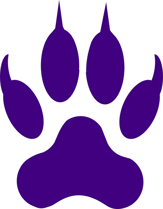  Panther Clipart Mark Paw Mark With Claws Png Claw Mark Png