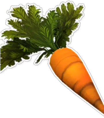  Carrot Garden Carrot Png Carrots Png