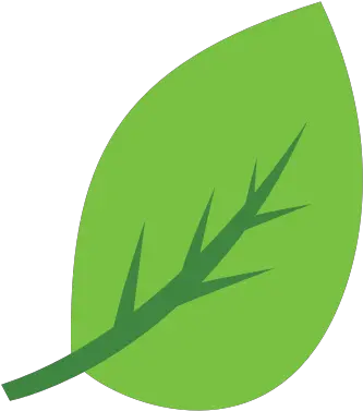  Eco Leaves Nature Icon Leave Icon Png Nature Png